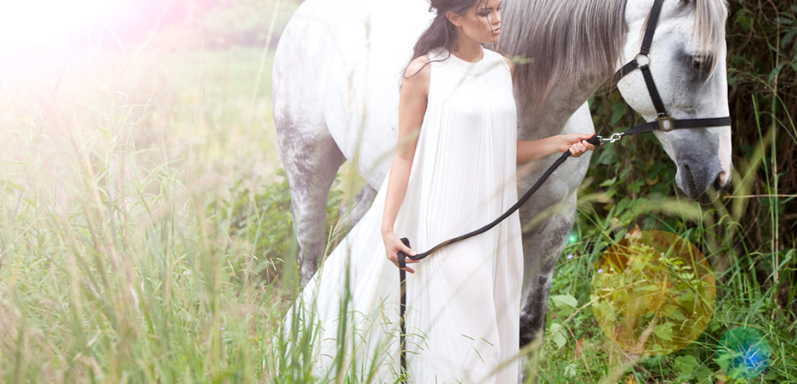 White Horse White Horse