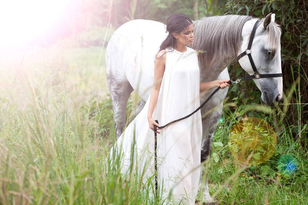 White Horse White Horse